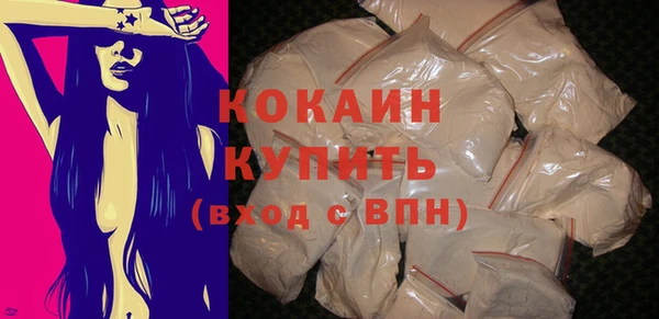 сатива Богданович