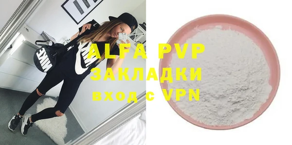 сатива Богданович