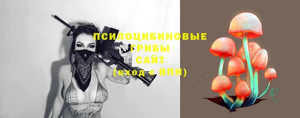 сатива Богданович