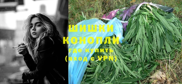 сатива Богданович