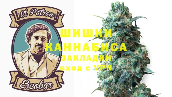 сатива Богданович