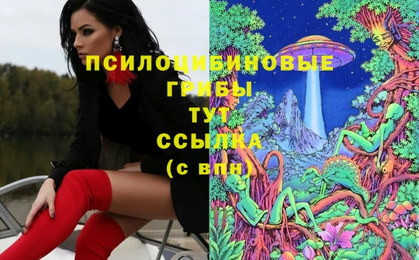 Альфа ПВП Пестово